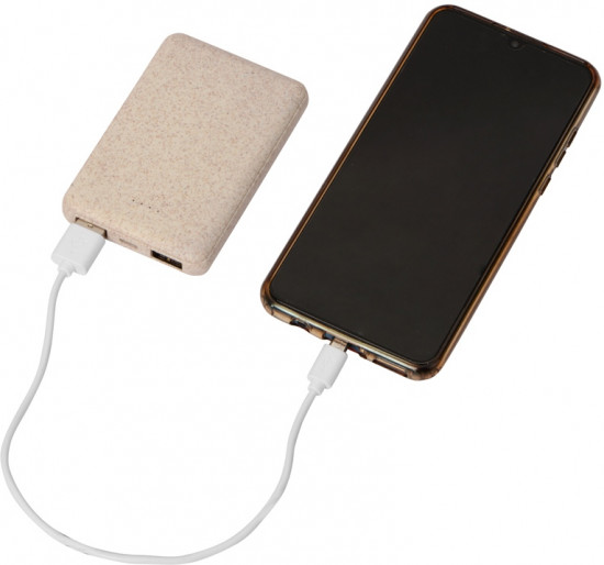 Устройство портативное зарядное «Wheatty»