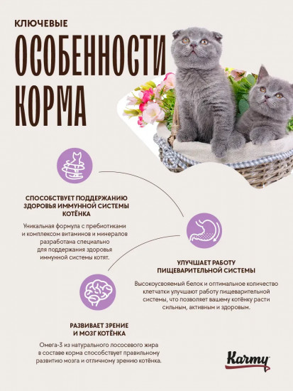 Корм для беременных и кормящих кошек и котят