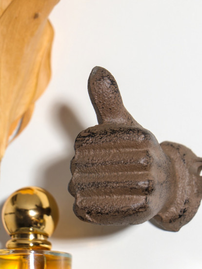 Крючок декоративный «Рука - класс»