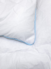 Одеяло «Лебяжий Пух» - Фото 1