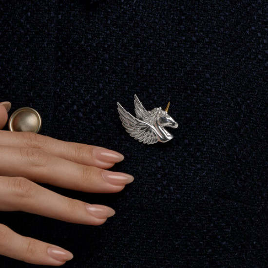 Брошь из серебра