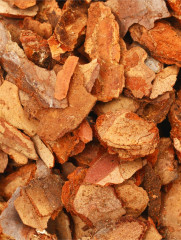 Кора сосны - Фото 2