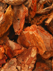 Кора сосны - Фото 2