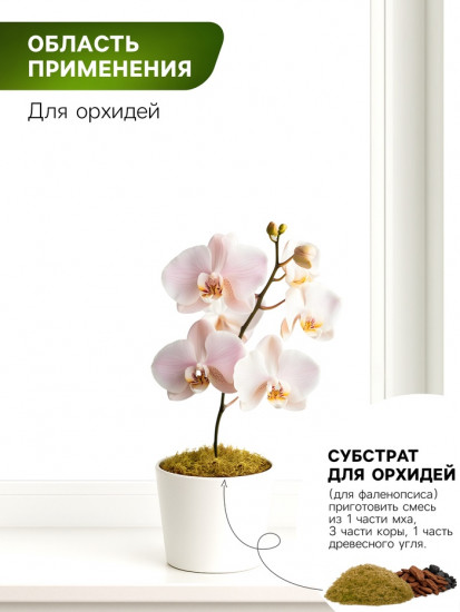 Мох сфагнум