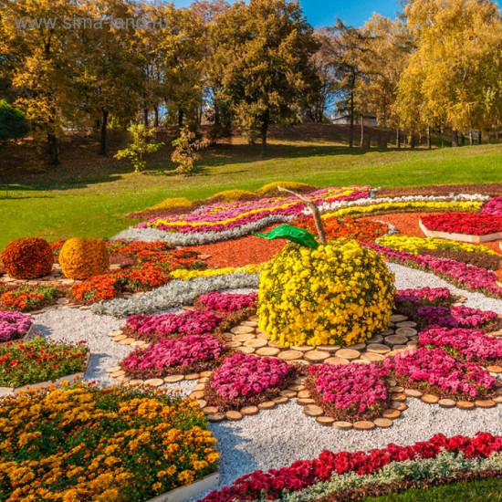 Щепа декоративная