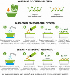 Семена. Микрозелень «Кресс-салат» - Фото 2