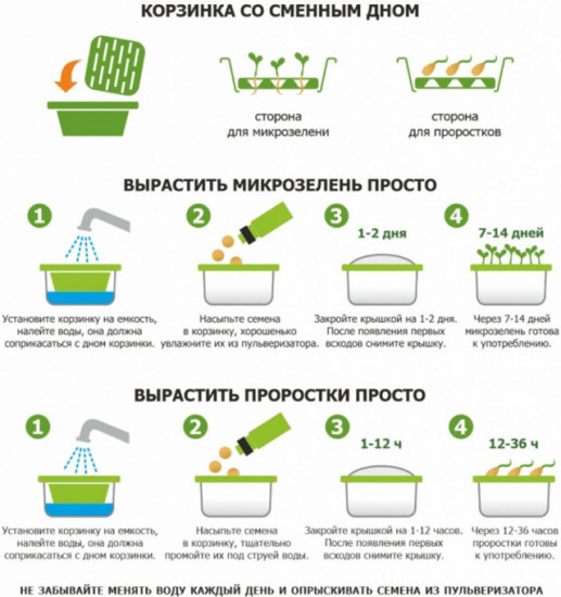 Микрозелень «Кресс-салат»