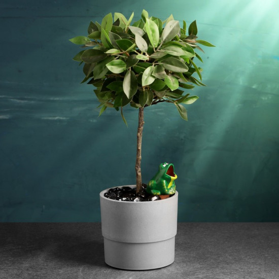 Автополив для комнатных растений «Лягушка»