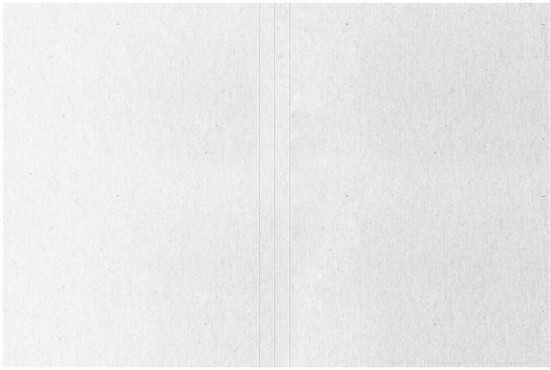 Папка-обложка «Дело»