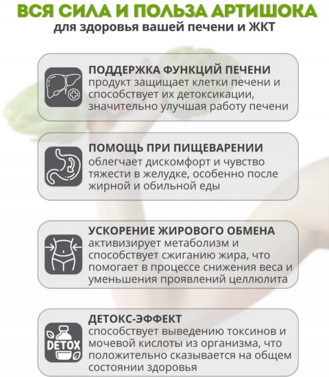 БАД «Артишок»