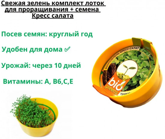 Микрозелень «Кресс-салат»