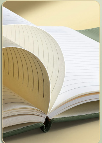 Ежедневник с ручкой и подарочной коробкой «Olive Dream»