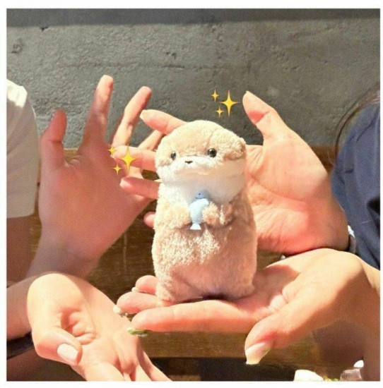 Мягкая игрушка «Выдра»