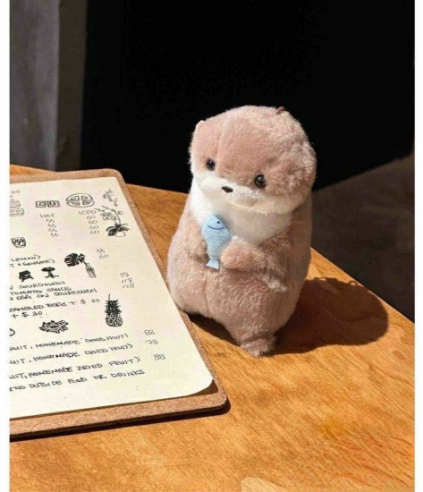 Мягкая игрушка «Выдра»