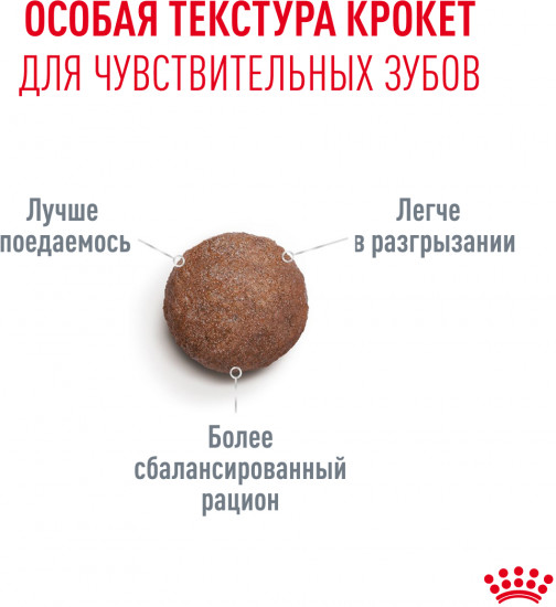 Корм сухой для кошек старше 11 лет «Ageing 11+»