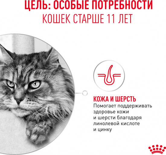 Корм сухой для кошек старше 11 лет «Ageing 11+»