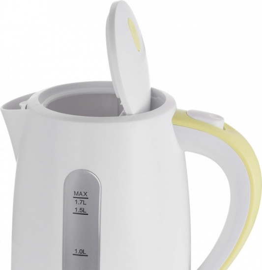 Электрический чайник Zelmer ZCK7616L