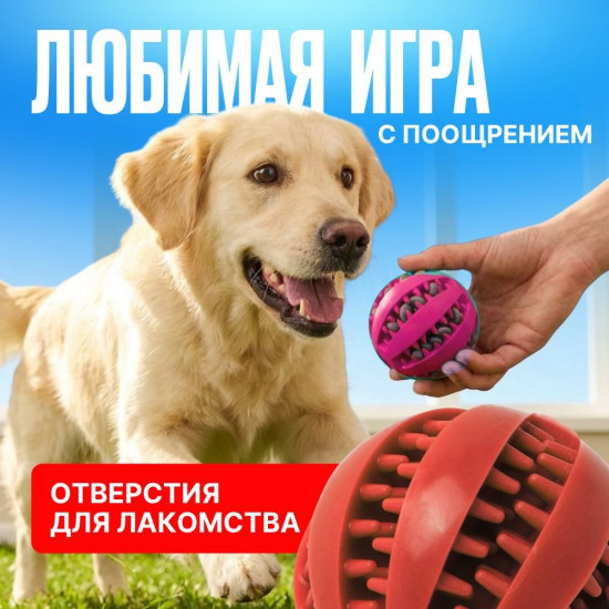 Игрушка-мячик для собак с отверстиями под лакомства