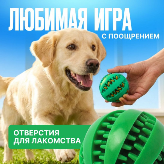 Игрушка-мячик для собак с отверстиями под лакомства