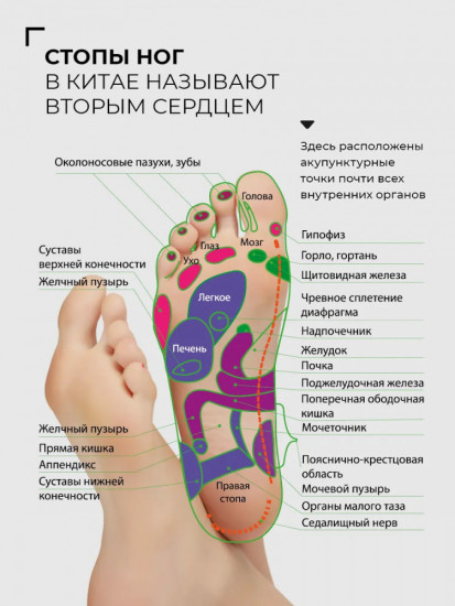 Пластыри для ног детоксикационные «Master Herb»