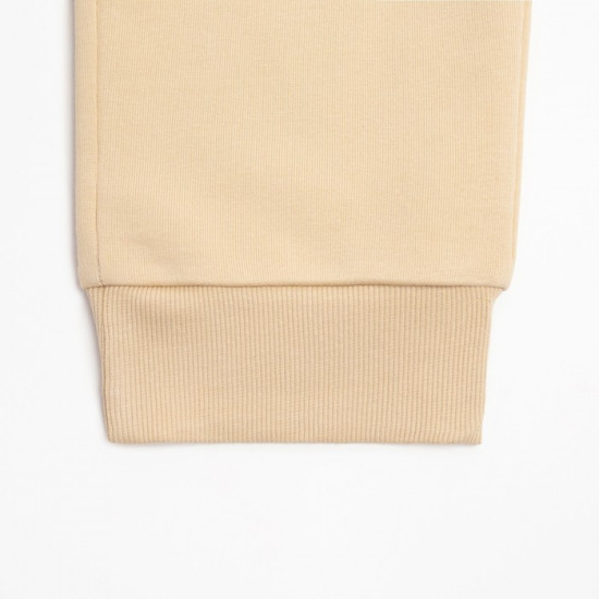 Брюки «President»