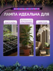 Фитолампа с управлением - Фото 5