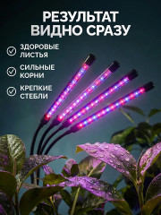 Фитолампа с управлением - Фото 7