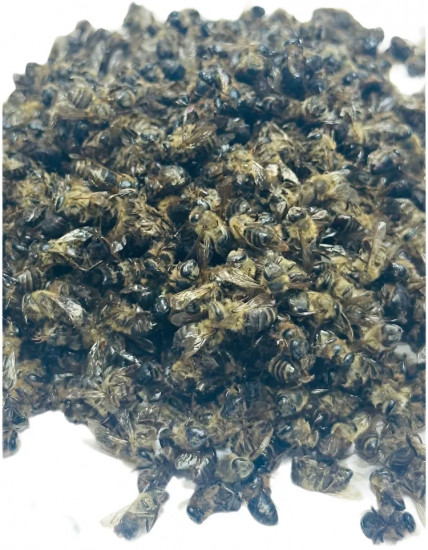 Подмор пчелиный