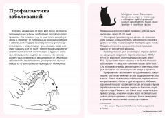 Гладить! Кормить! Любить! Замурчательное пособие по счастливой жизни с кошкой - Фото 8