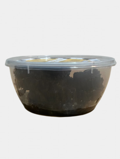 Соты медовые тёмные лечебные