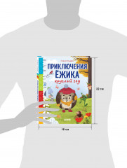 Сказки про времена года. Приключения Ёжика круглый год - Фото 8