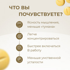 Премиальные витамины для памяти и концентрации внимания «Brain Focus» - Фото 3