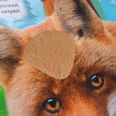 Тактильная книга «Лесные обитатели» - Фото 6
