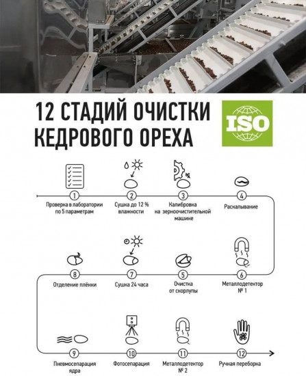 Кедровый орех в подарочной упаковке