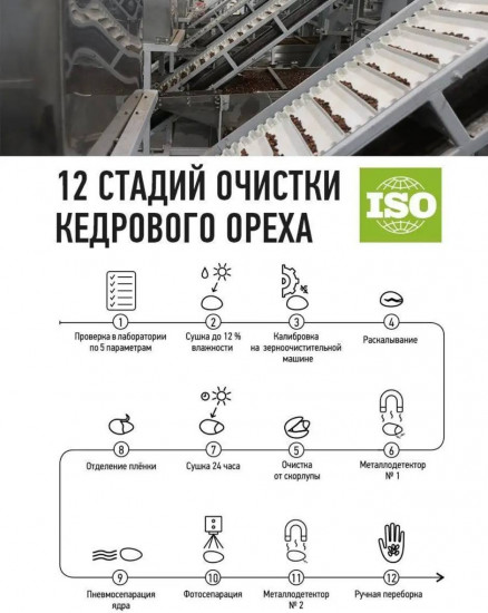 Кедровый орех