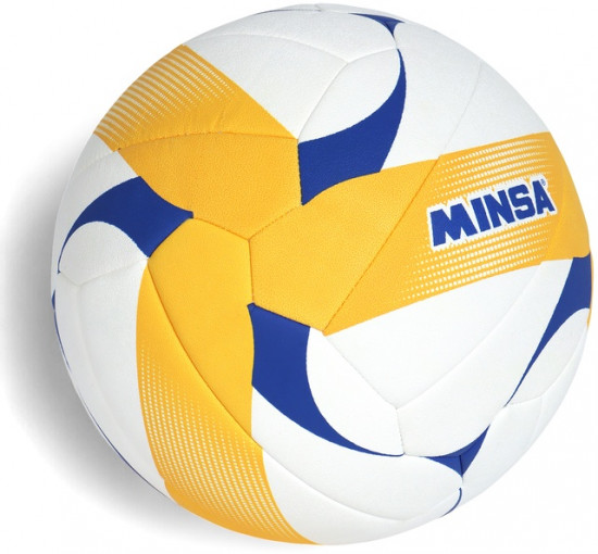 Волейбольный мяч VB500 DMS