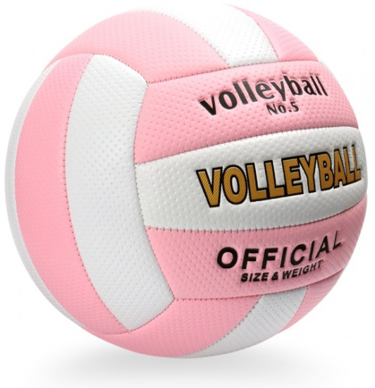 Волейбольный мяч
