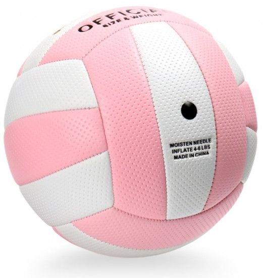 Волейбольный мяч