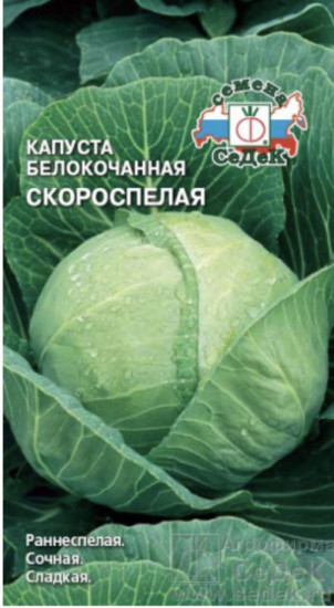 Семена капусты белокочанной «Скороспелка»