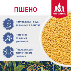 Пшено золотистое - Фото 2