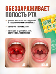 Спрей для горла с прополисом «Bee Propolis» - Фото 2
