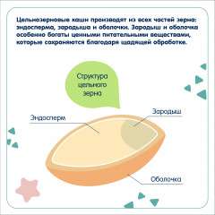 Каша безмолочная детская гречневая гипоаллергенная - Фото 5