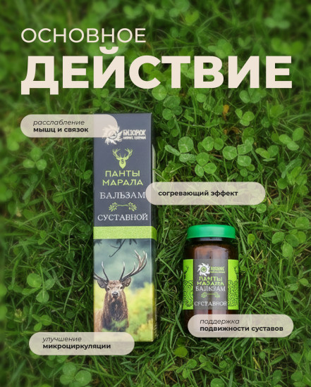 Бальзам Панты марала Суставной от боли в суставах и артроза
