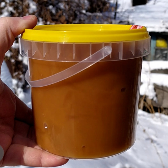 Гречишный мёд