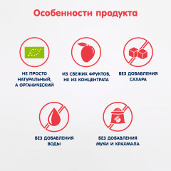 Пюре детское «Манго» - Фото 2