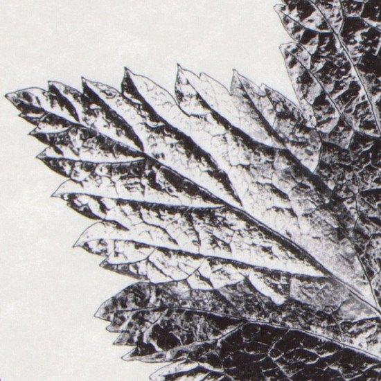 Коврик для ванной «Natural print» 