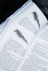 Легенда о Чжаояо. Книги 1-2. Комплект из 2 книг - Фото 4
