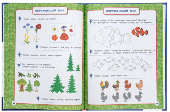Полный годовой курс, 3-4 года