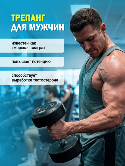 Капсулы «Трепанг» для иммунитета, ЖКТ и энергии