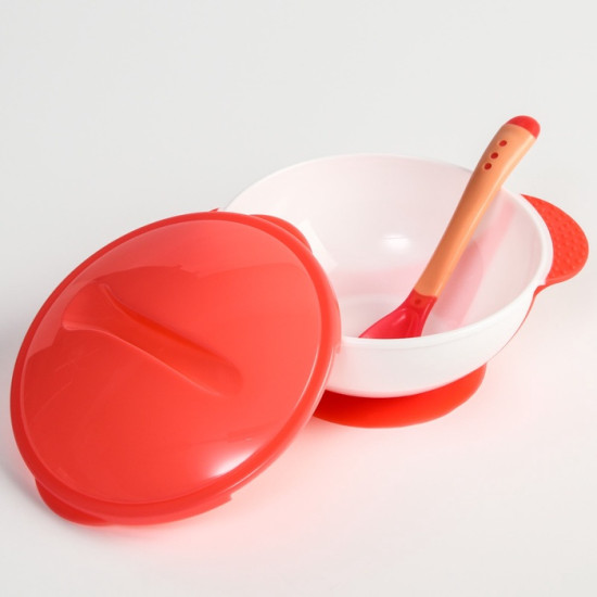 Тарелка на присоске